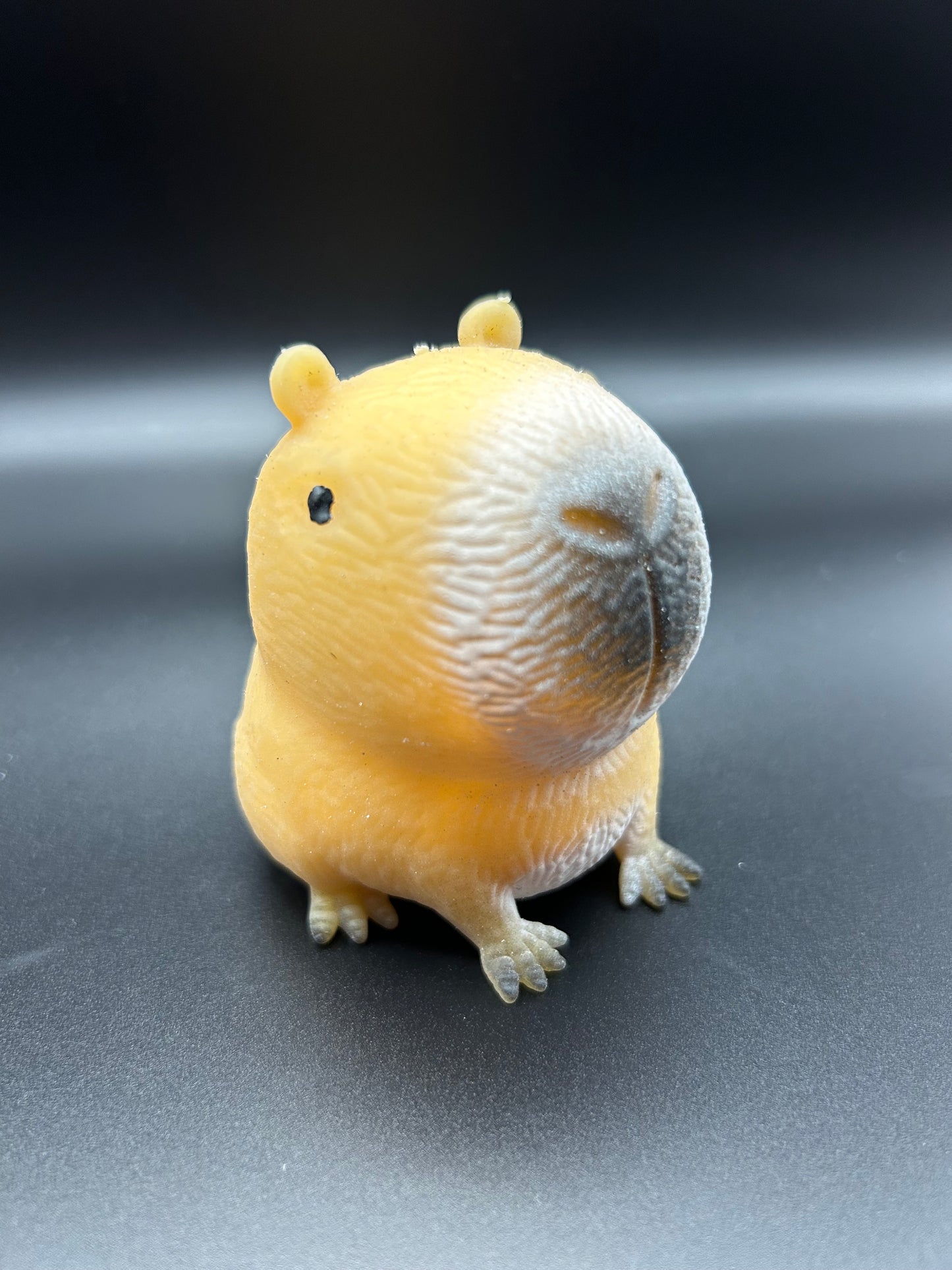 Capybara Squishy